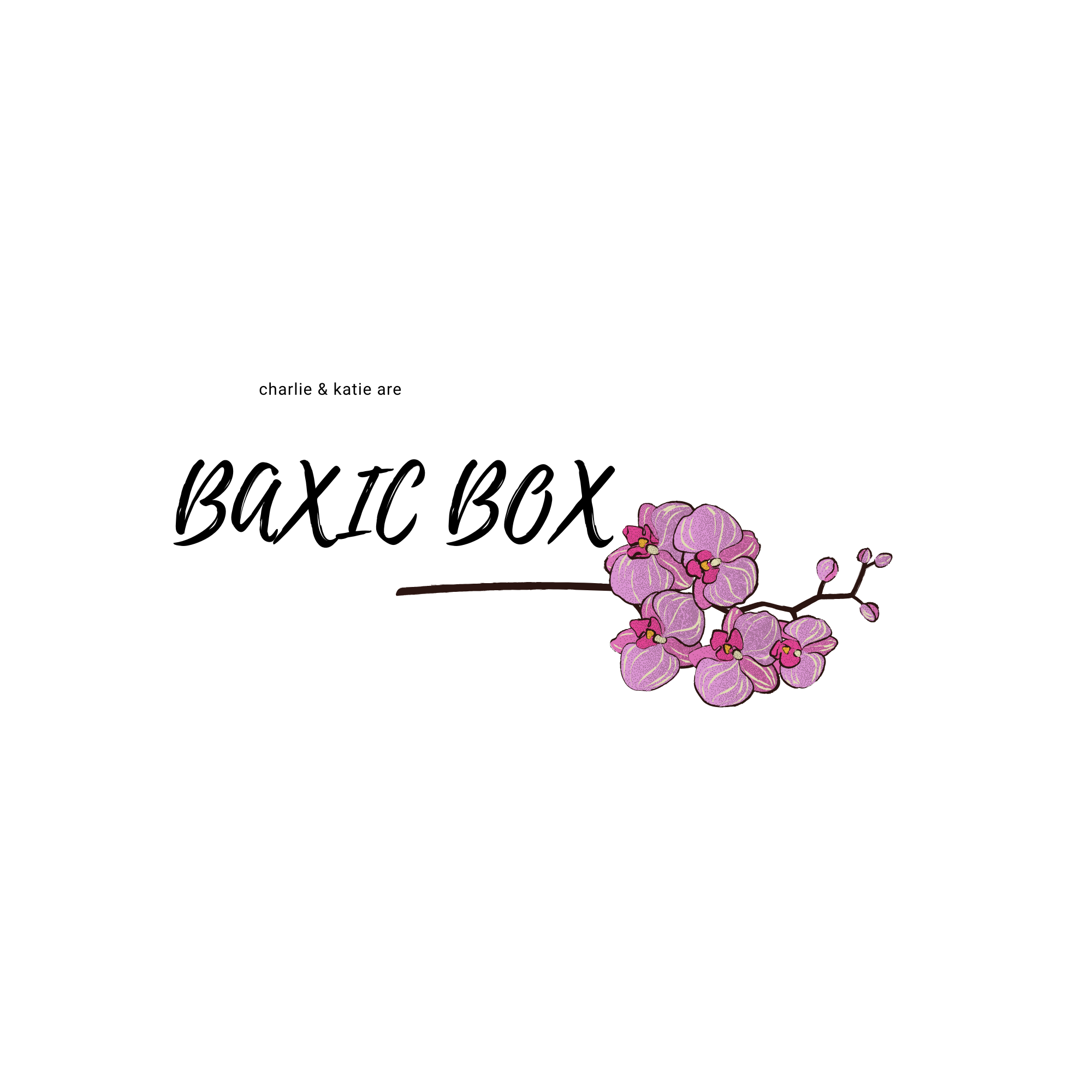 Basic box